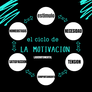 El ciclo de la motivación y la creación de hábitos 