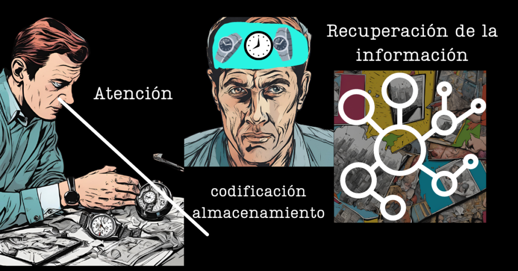 ¿como procesa tu mente la información? 