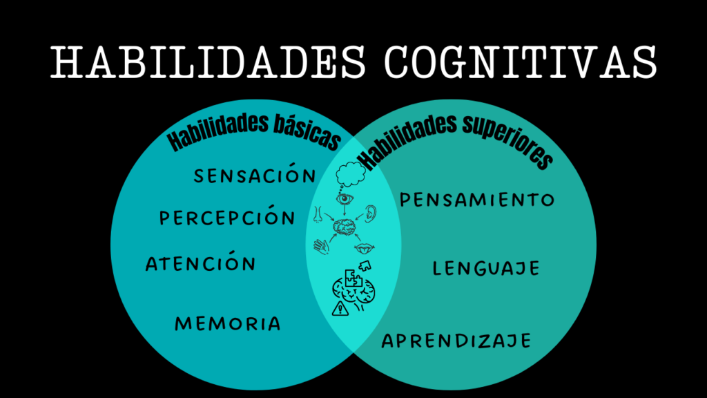 ¿cuales son las habilidades cognitivas basicas?