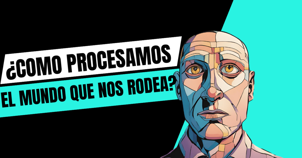 ¿como procesamos el mundo que nos rodea?